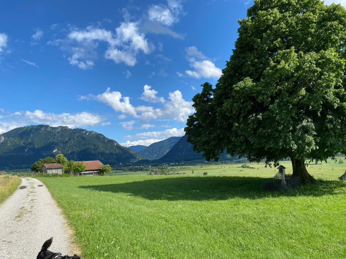Im- Oberland - Berg - Koenigscard Bad Kohlgrub Exterior foto