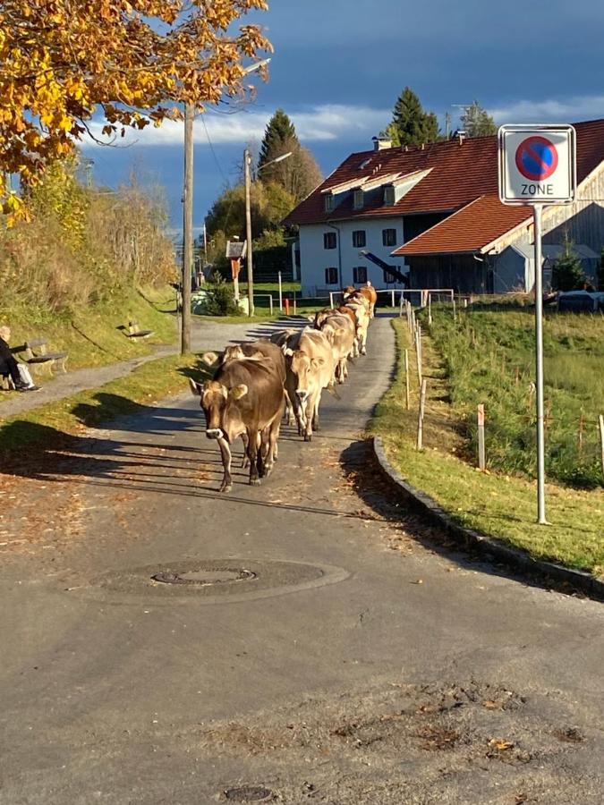Im- Oberland - Berg - Koenigscard Bad Kohlgrub Exterior foto